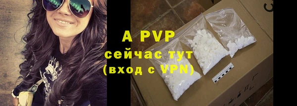 PSILOCYBIN Михайлов
