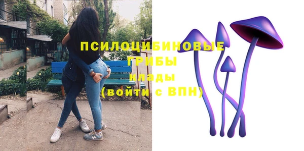метадон Михайловск
