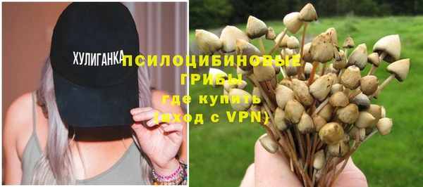 PSILOCYBIN Михайлов