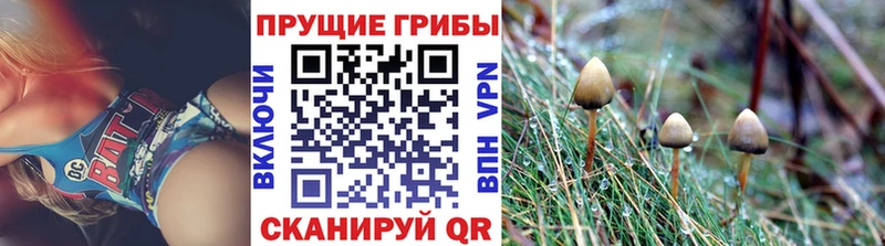 закладка Ковров KRAKEN онион Галлюциногенные грибы прущие грибы