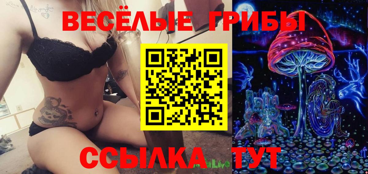 Ковров  Псилоцибиновые грибы Magic Shrooms  магазин продажи   Вход с VPN 