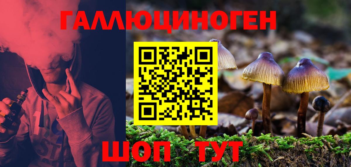 Псилоцибиновые грибы Cubensis Ковров